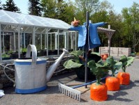 Mr.McGregor's Garden